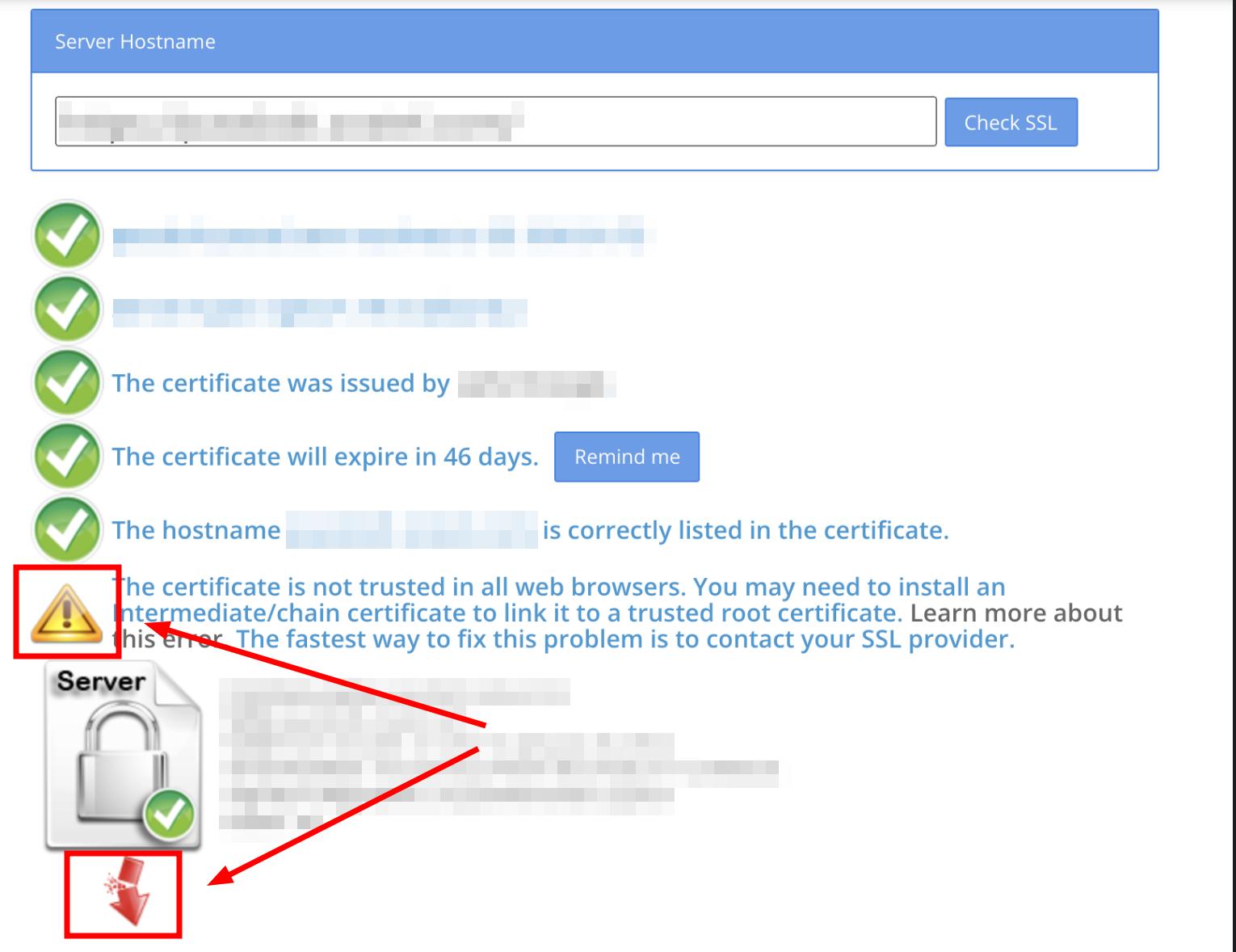 SSL Checker Fail